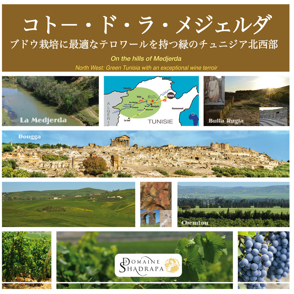 Domaine Shadrapa Blanc