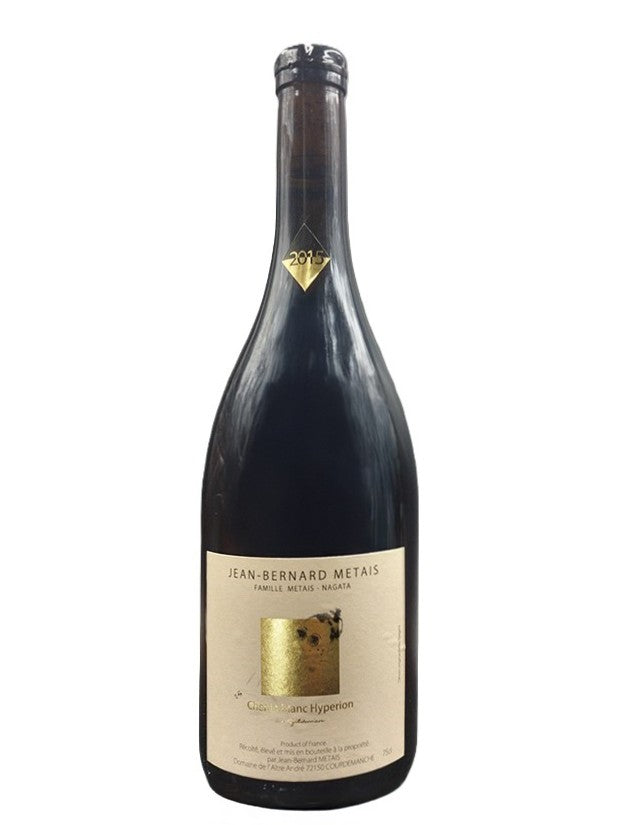 JEAN BERNARD METAIS ‘20 HYPERION