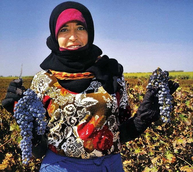 アイ・スアラ・ルージュ AIT SOUALA ROUGE