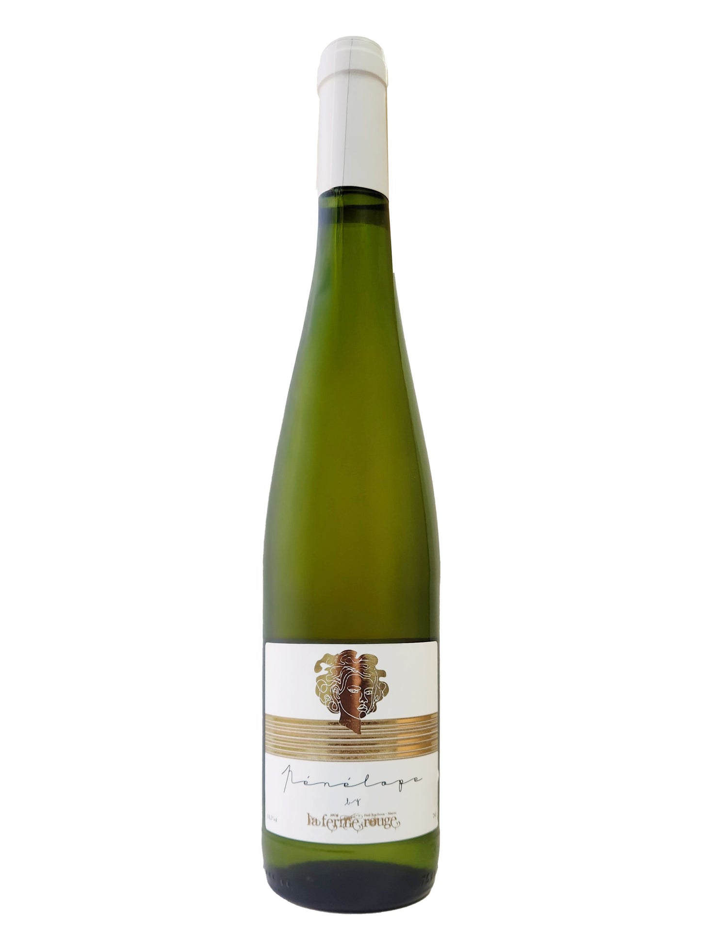 ペネロペ　Penelope