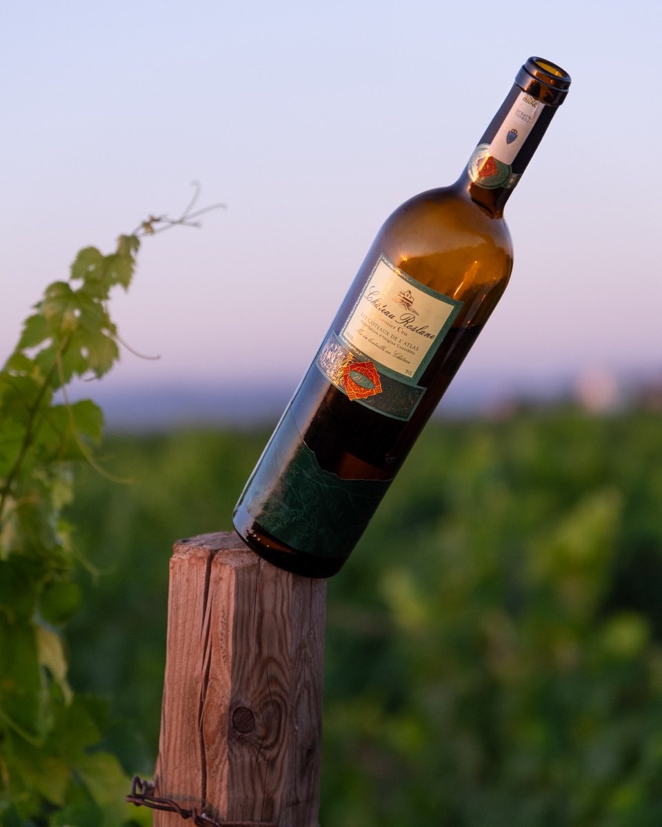 シャトー・ロスラーン・ブラン 白 Chateau Roslane Blanc