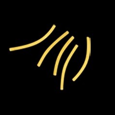 レピドール　バーミセリ(天使の髪の毛)　500ｇ　Cheveux d'Ange / Vermicelli / Vermicelle