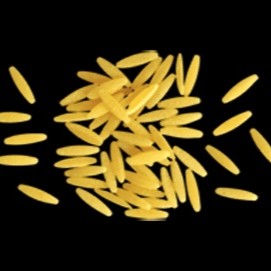 Lepidor  Langue d'Oiseau / Chorba / Rice Shaped Pasta  500g